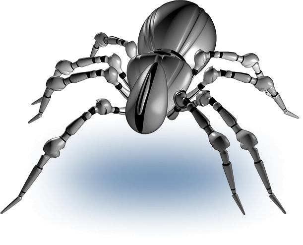 Main Background Spider